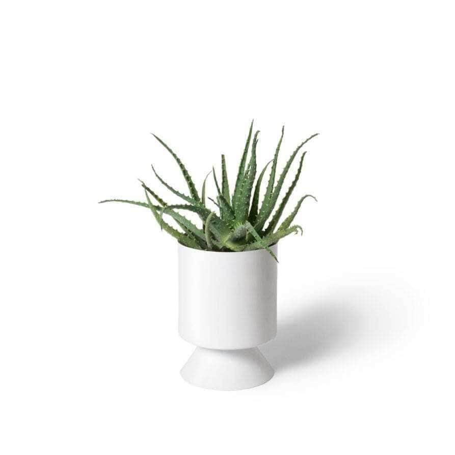 Palm Springs Planter Small - White