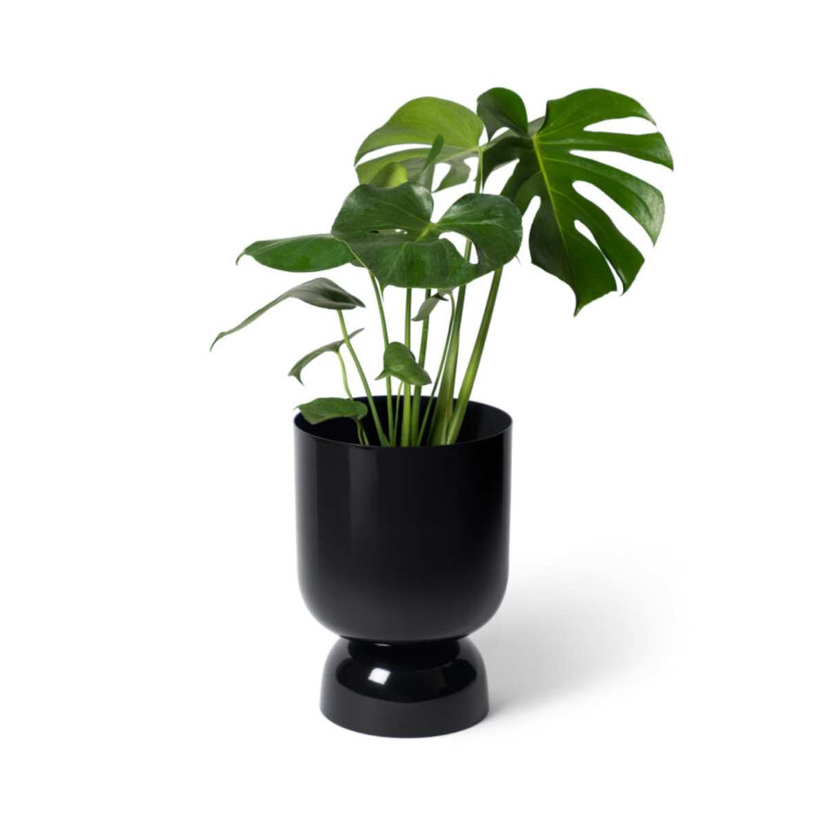 Goblet Planter - Black