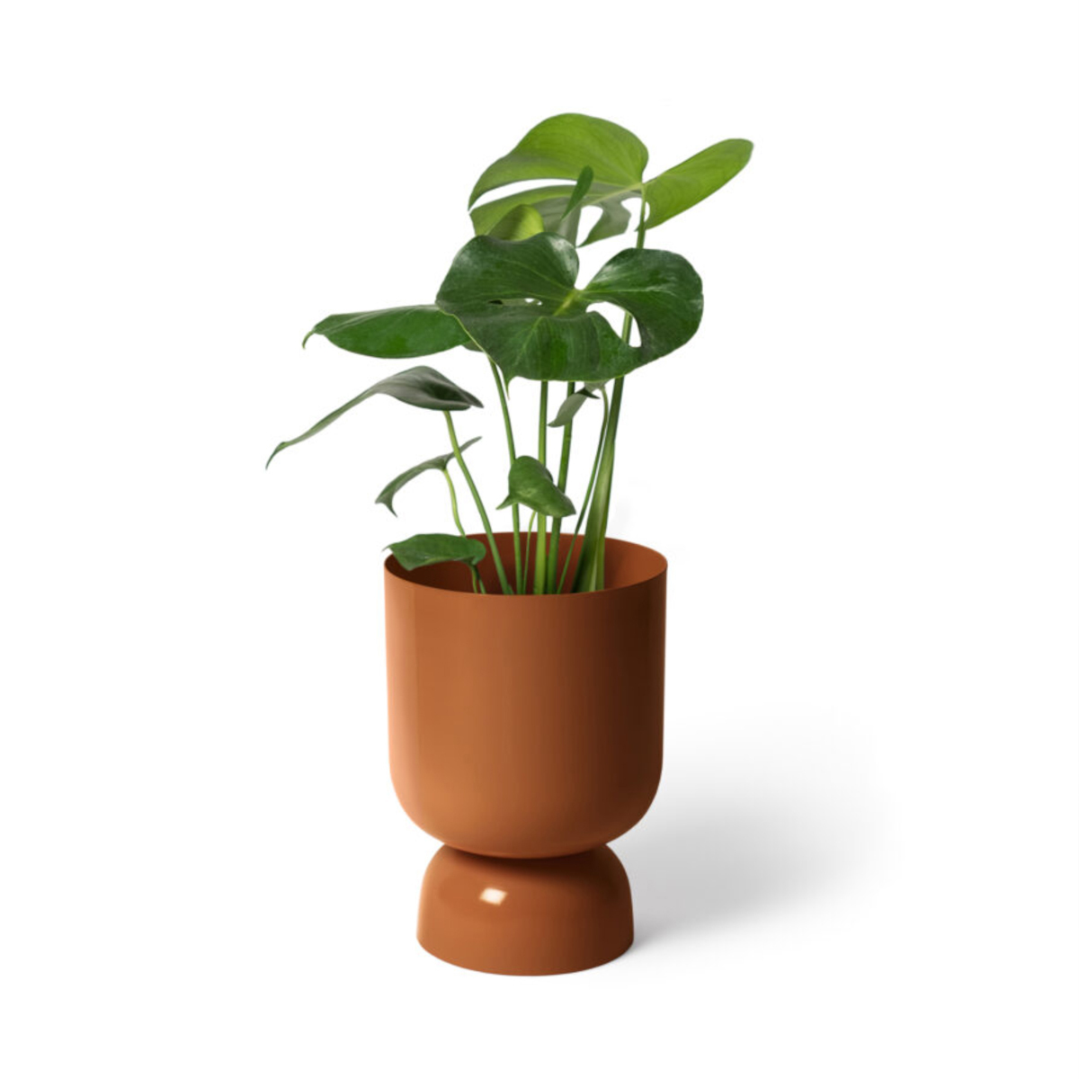 Goblet Planter - Nutmeg