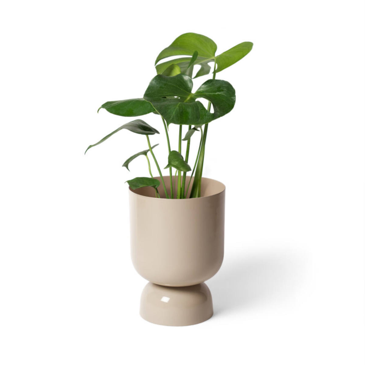 Goblet Planter - Sand