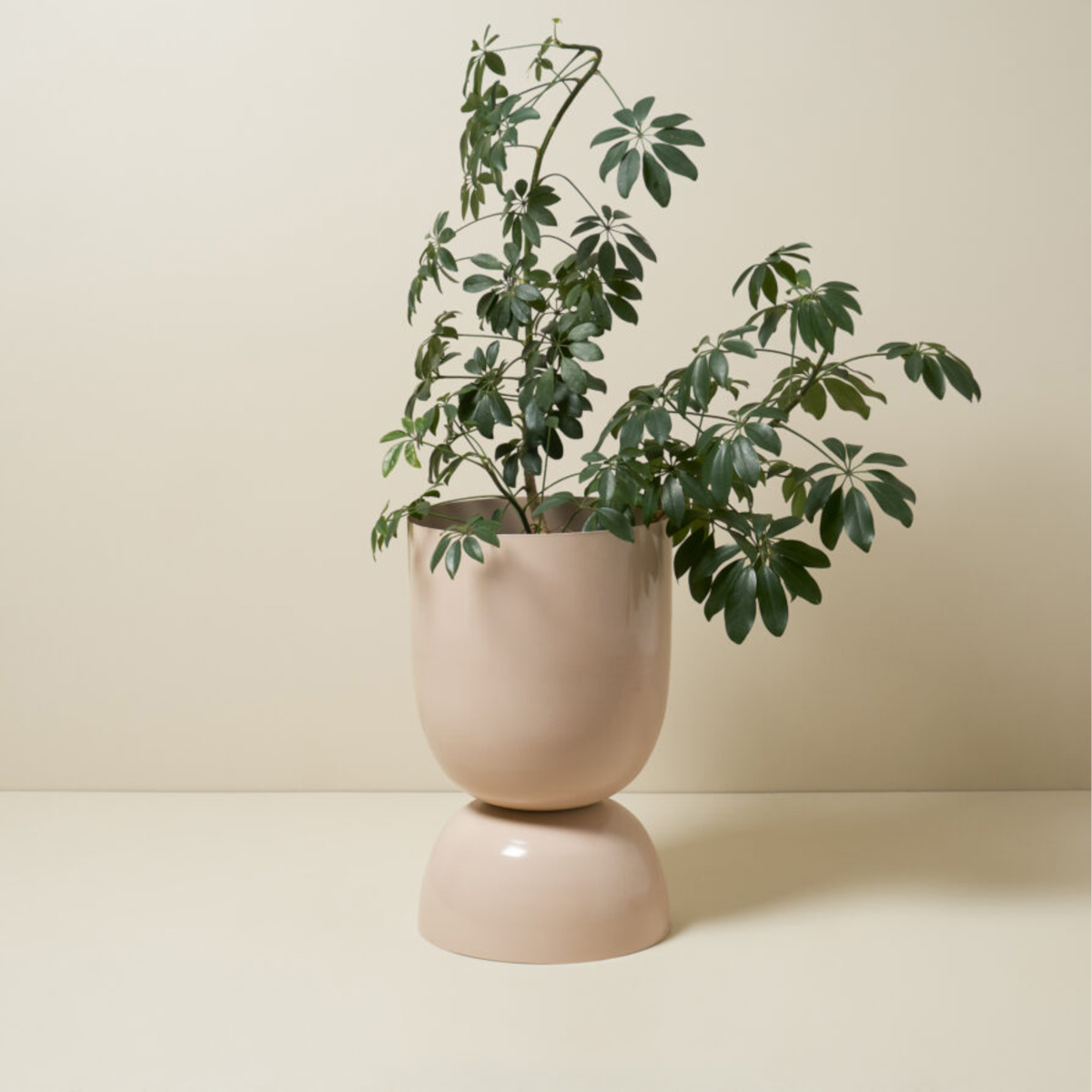 Goblet Planter Extra Large - Sand