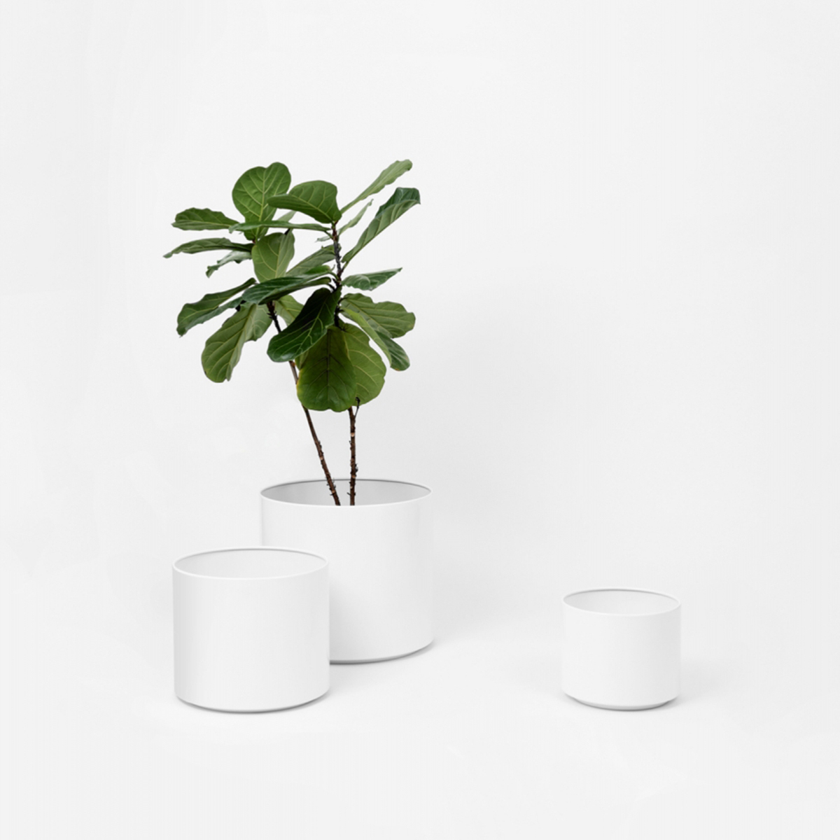 Benny Planter - White