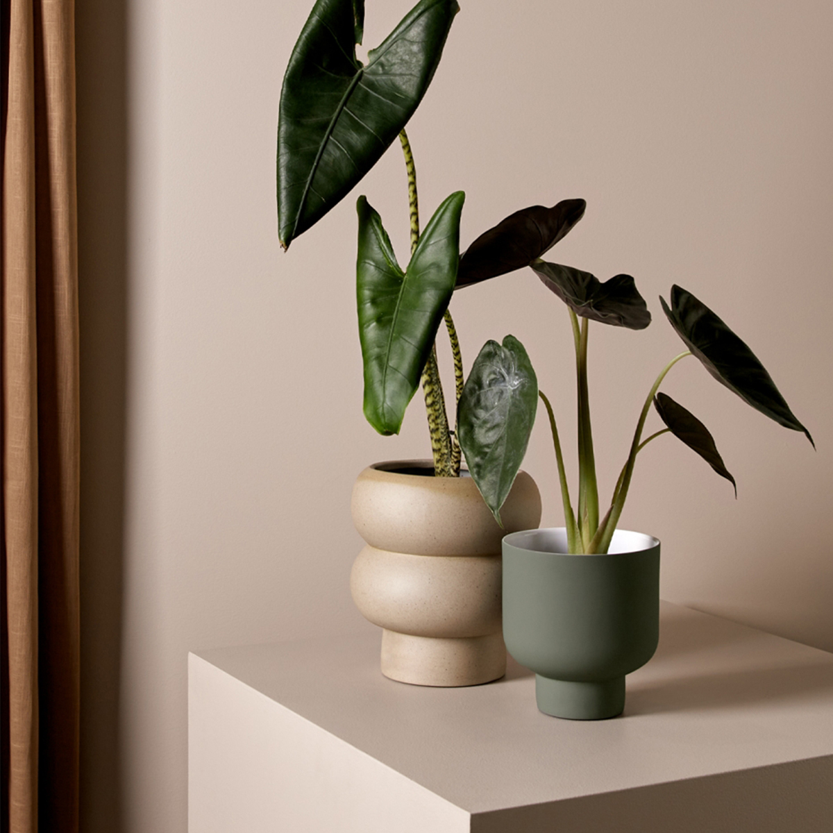 Billie Planter Medium - Dune