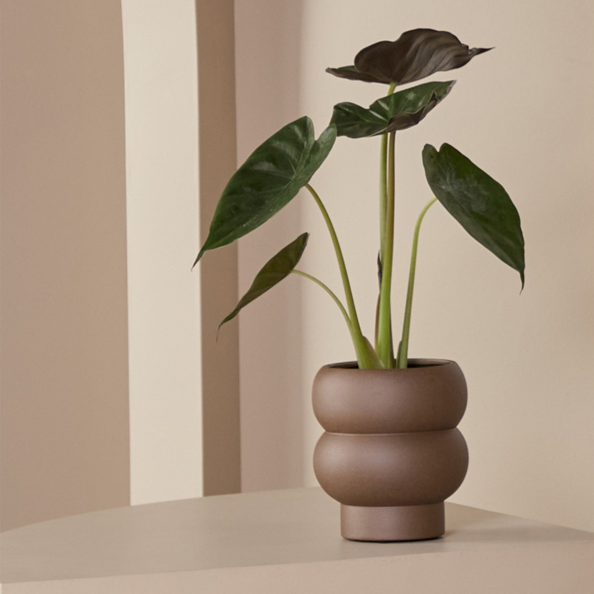 Billie Planter Small - Umber