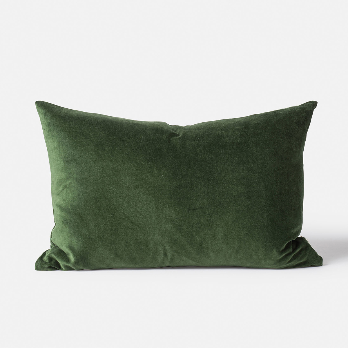 Velvet Cushion - Spirulina