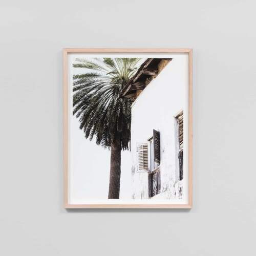 Palm Window Framed Print